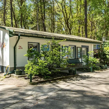 Seeschwalbe, Nr 7 Holiday park Dranske
